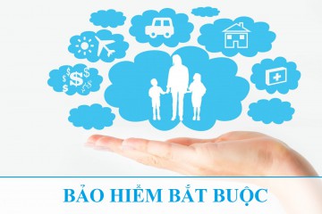 Các loại bảo hiểm phải đóng khi đi làm