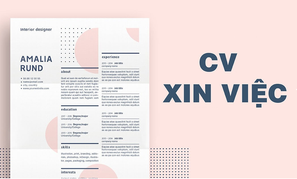 Bố cục chuẩn của một CV xin việc